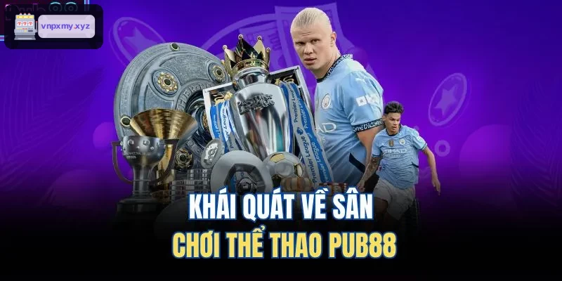 Thông tin tổng quan về sân chơi thể thao C88